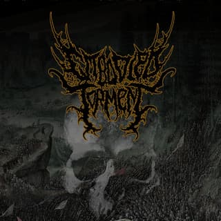 Embodied Torment
