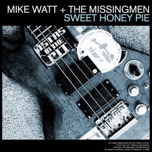 Mike Watt & The Missingmen