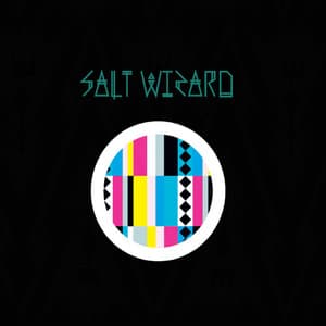 Salt Wizard