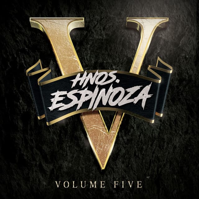 HNOS ESPINOZA, VOL. 5