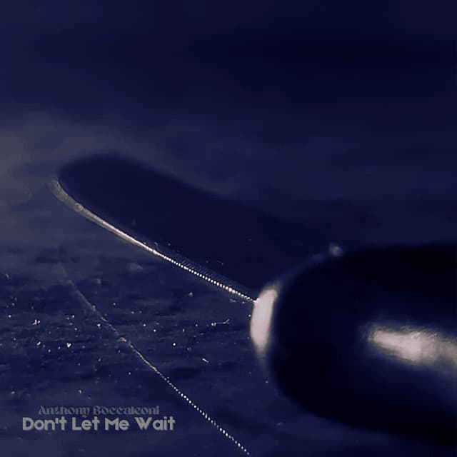 Don't Let Me Wait