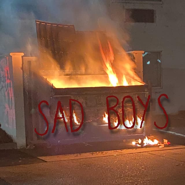 Sad Boys