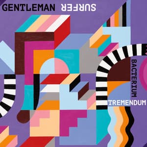 Gentleman Surfer