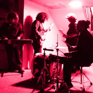 Valley Wolf at Starlet Room